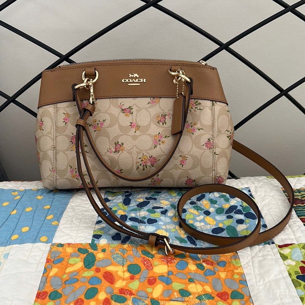 Coach Brooke Mini Carryall